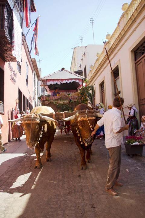 Hotel Rural Orotava 라오로타바 외부 사진