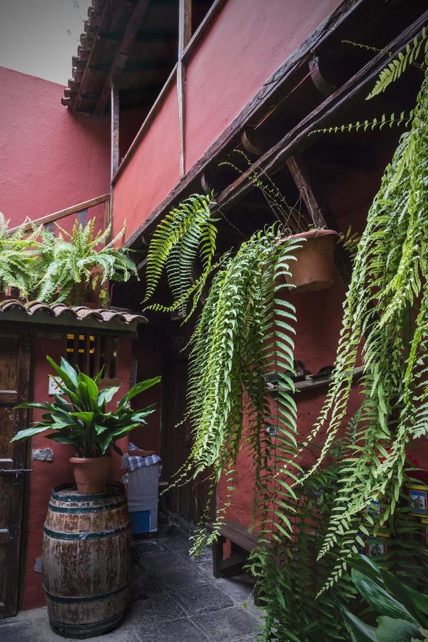 Hotel Rural Orotava 라오로타바 외부 사진